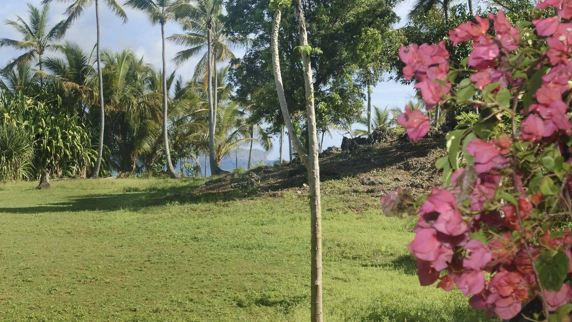 Hotel Villa Diana Ocean Front Las Galeras